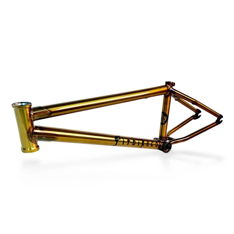 Fit Hango Frame Trans Gold 20.75″